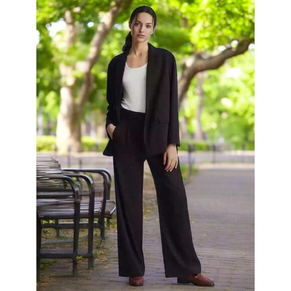 NWT - Everlane The Way-High Black Drape Pants Women's Size: 8S - Picture 5 of 8